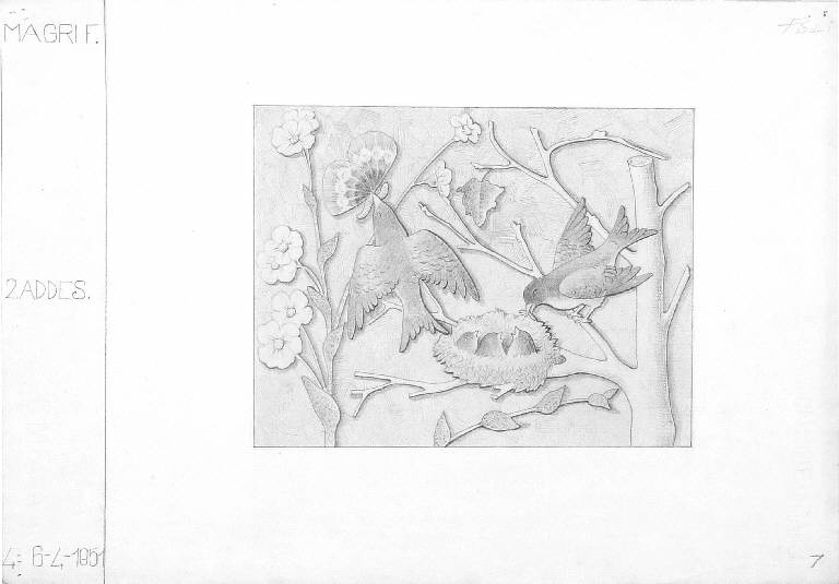 Natura morta con uccellini (disegno) di Magri Fiorenzo (metà sec. XX)