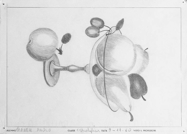 Natura morta con frutta (disegno) di Trentini Paolo (seconda metà sec. XX)