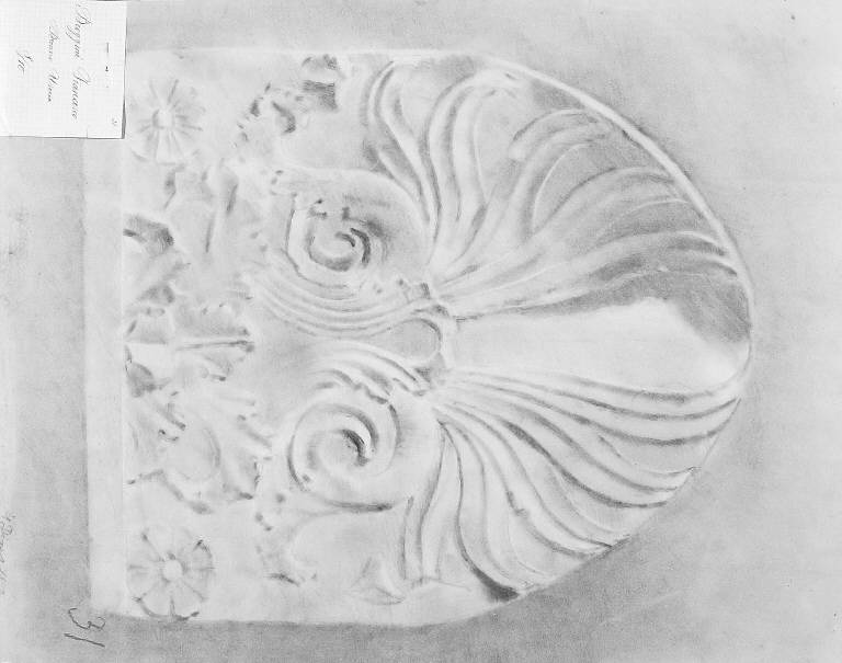 MOTIVI DECORATIVI VEGETALI STILIZZATI (disegno) di Broggini Francesco (fine sec. XIX)