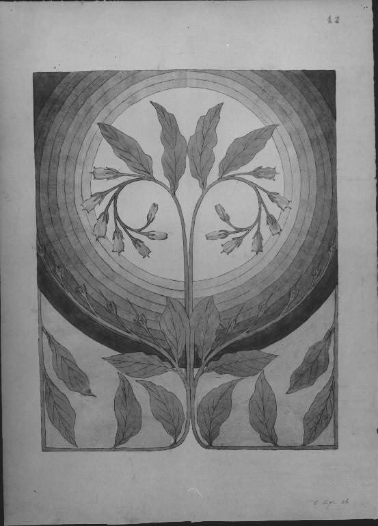 MOTIVI DECORATIVI VEGETALI STILIZZATI (disegno) di Cassani Gaetano (inizio sec. XX)