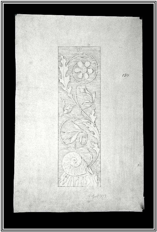 STUDIO DI ORNATO (disegno) di Moretti Carlo (fine sec. XIX)