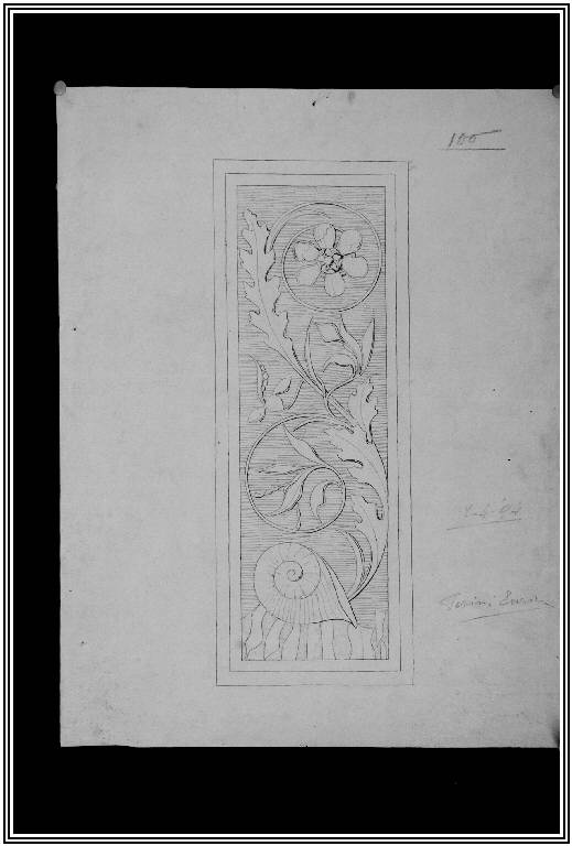 STUDIO DI ORNATO (disegno) di Perini Enrico (fine sec. XIX)