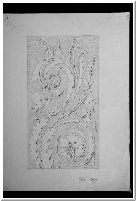STUDIO DI ORNATO (disegno) di Cassani Giovanni (fu Luigi) (fine sec. XIX)