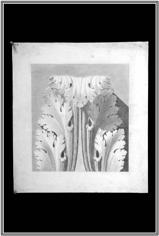 STUDIO DI ORNATO (disegno) di Gattoni Luigi (fu Pietro) (fine sec. XIX)