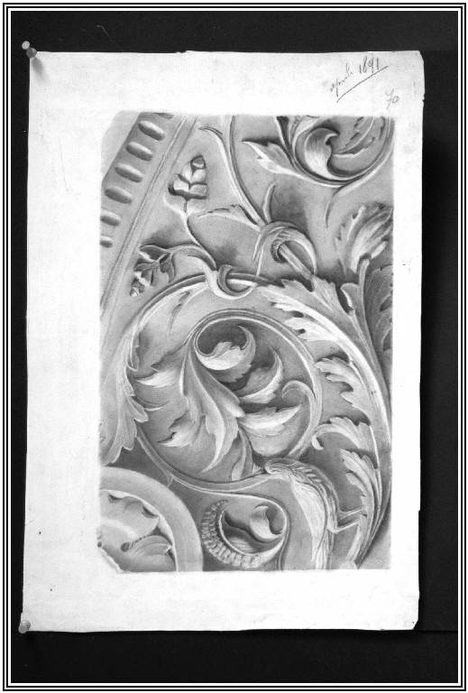 STUDIO DI ORNATO (disegno) di Giani Salvatore (fine sec. XIX)