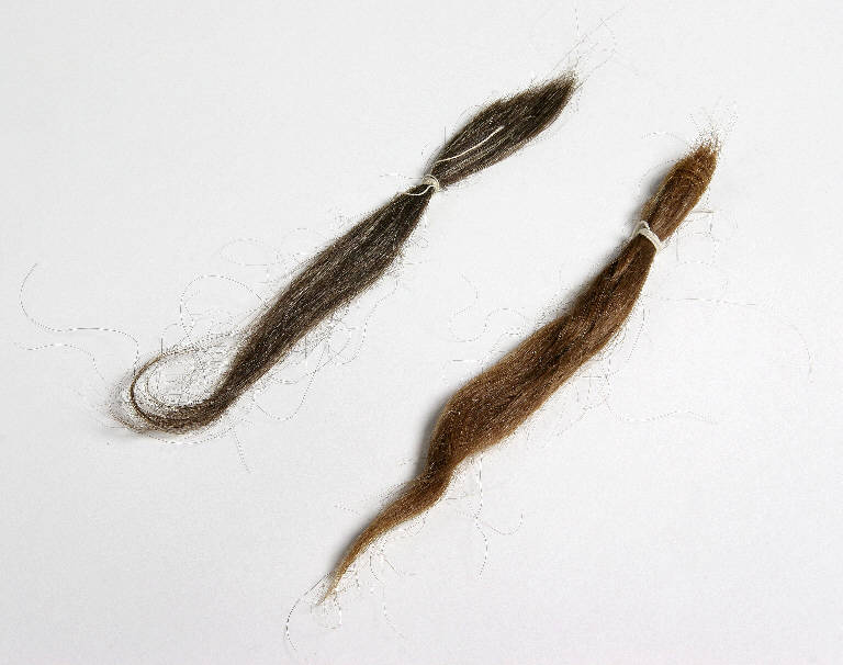 capelli - manifattura emiliana (fine sec. XIX)