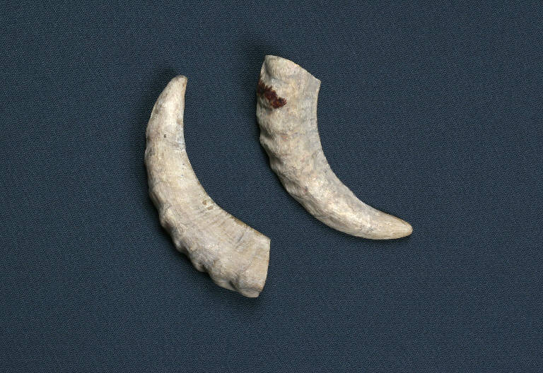 corna di burattino - ambito emiliano (fine sec. XIX)