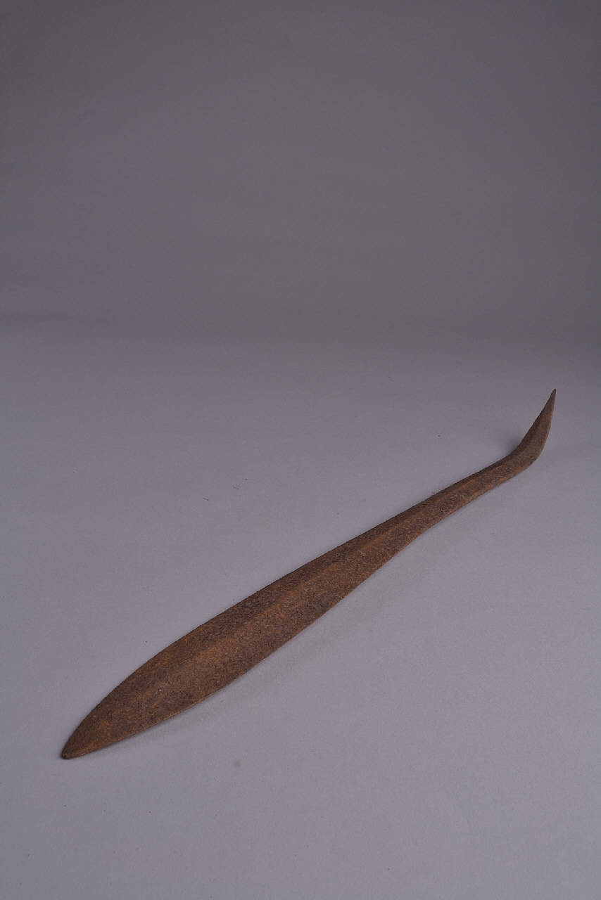 lama - popolazione Maasai (sec. XIX)