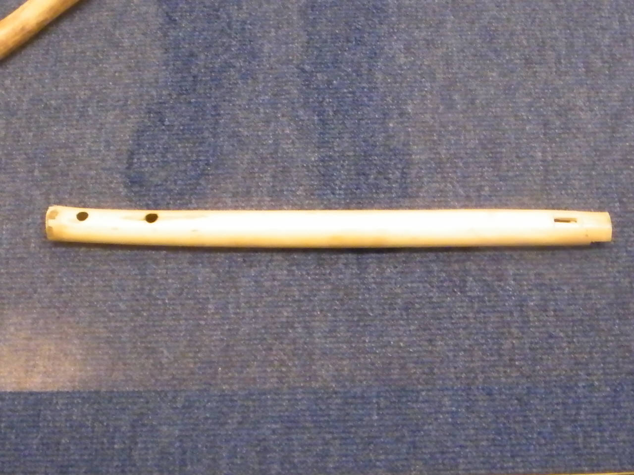 flauto di Romero, Carlos detto "Pato de Oro" (sec. XXI)