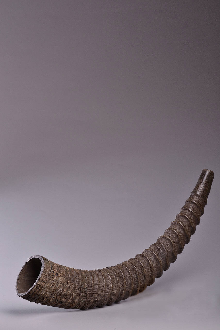 tromba - ambito Italia (popolare) (secc. XIX/ XX)