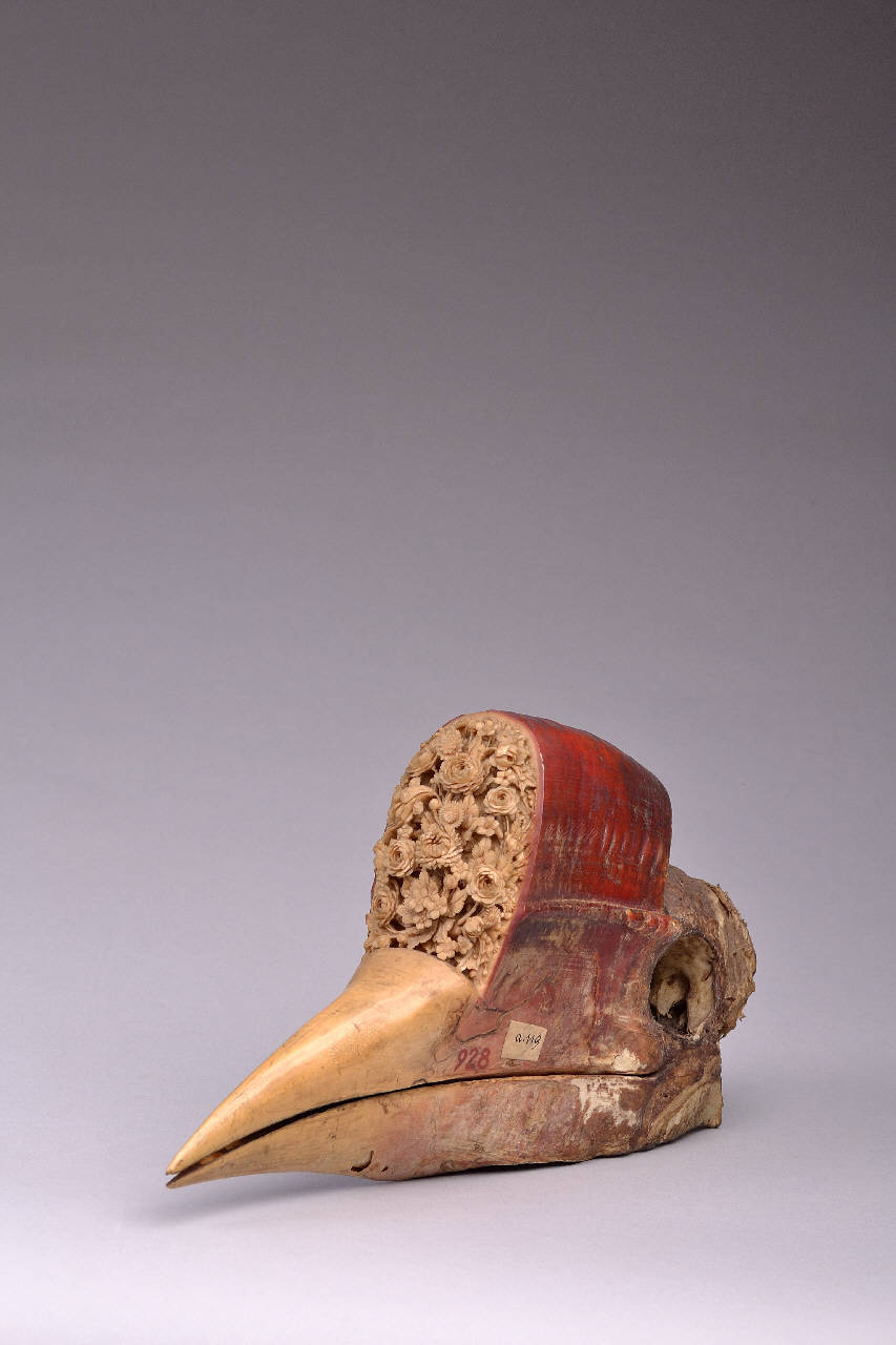 cranio - ambito Cina (secc. XVIII/XIX)