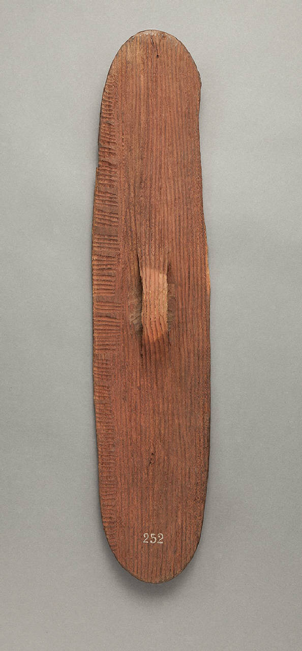 scudo - ambito aborigeno Australia occidentale (sec. XIX)