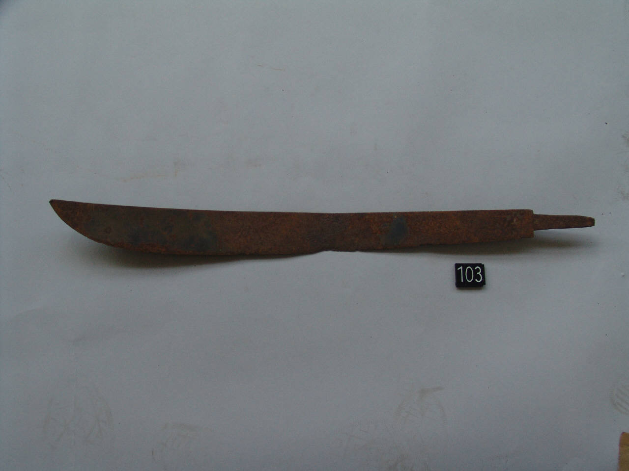 lama - ambito Cina (sec. XIX)