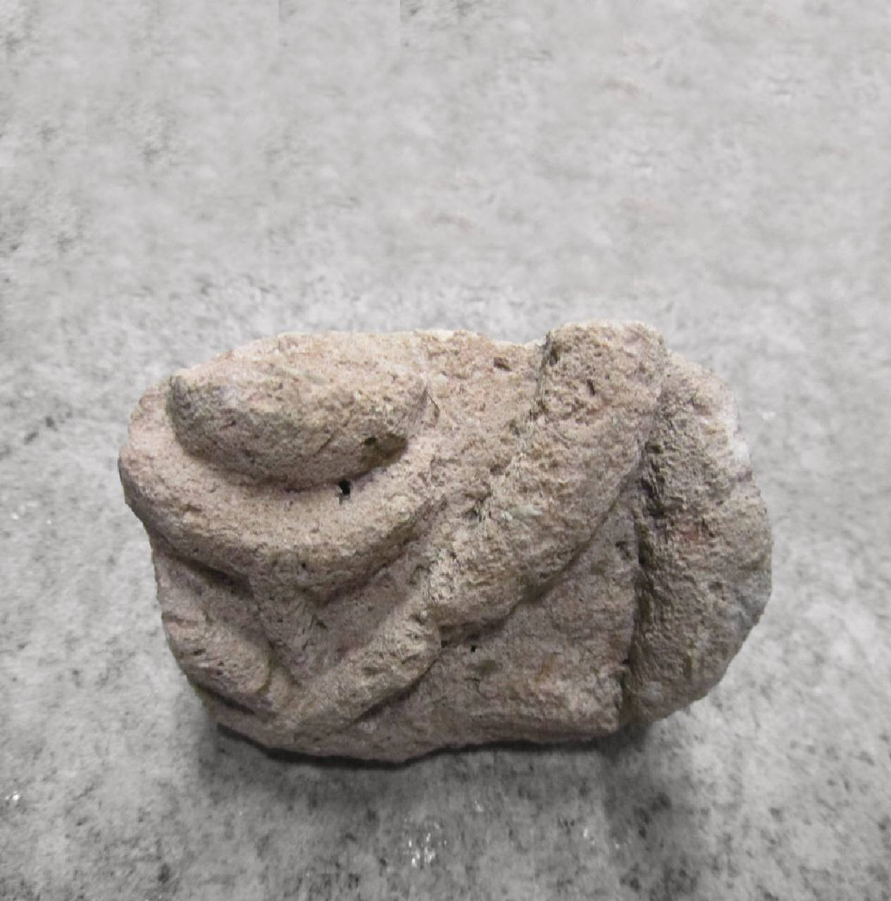Elemento non identificato (colonnina?, frammento di; ?) di Scultore - ambito lombardo (metà sec. VIII)