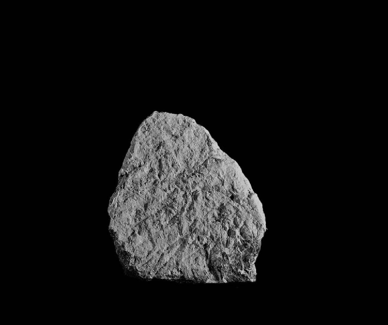 Frammento, da Lastra tombale? (frammento) di Scultore - ambito lombardo (sec. XIV)