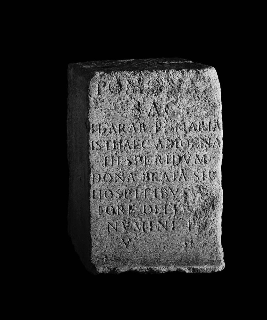 Plinto con inscrizione a POMONA da casa Rabia (Rubia) (plinto) di Scultore - ambito lombardo (primo quarto sec. XVI)