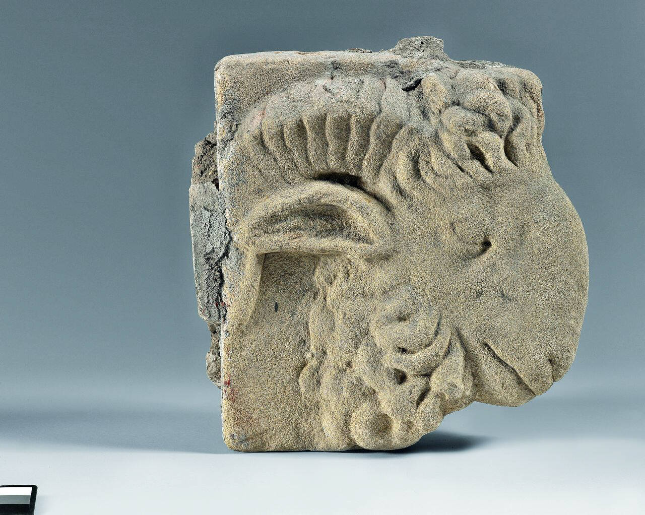 Mensola con testa caprina (ariete?) volta a destra (mensola, parte di) di Scultore - ambito lombardo (sec. XVII)