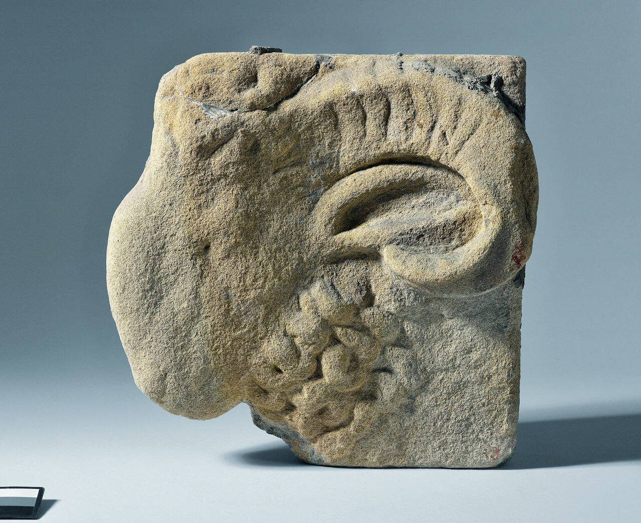 Mensola con testa caprina (ariete?) volta a sinistra (mensola, parte di) di Scultore - ambito lombardo (sec. XVII)