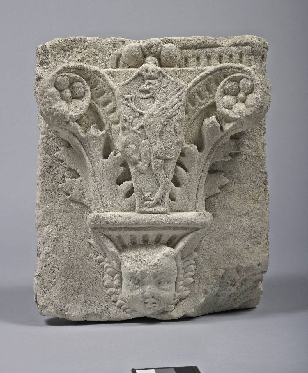 Peduccio con foglie d'acanto, scudo a testa di cavallo: arma Grifi sorretto da cherubino (peduccio) di Scultore - ambito lombardo (fine/ inizio sec. XV)