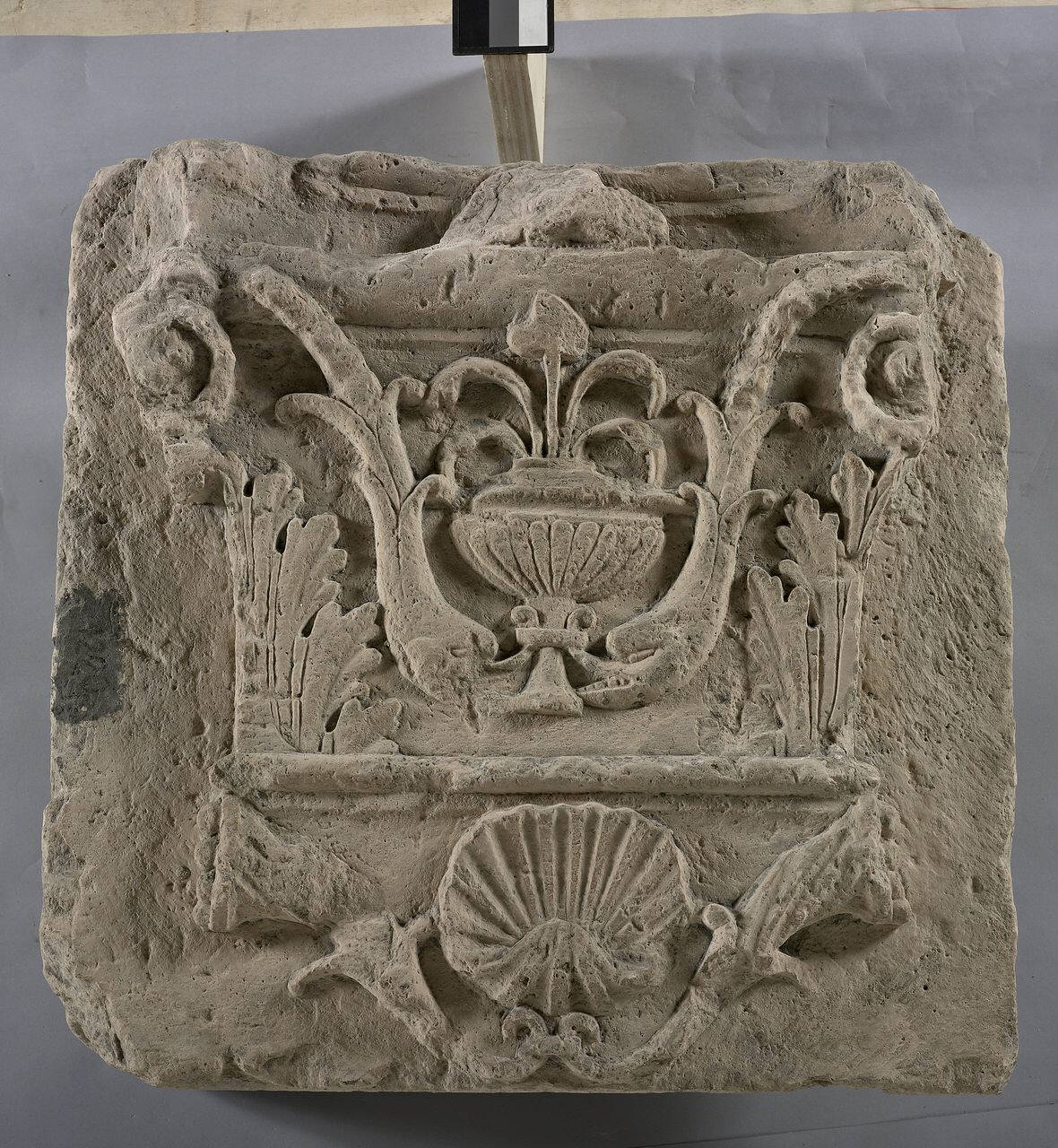 Peduccio con cantaro affiancato da delfini e foglie d'acanto; al centro, concihlia affiancata da cornucopie (peduccio) di Scultore - ambito lombardo (inizio sec. XVI)