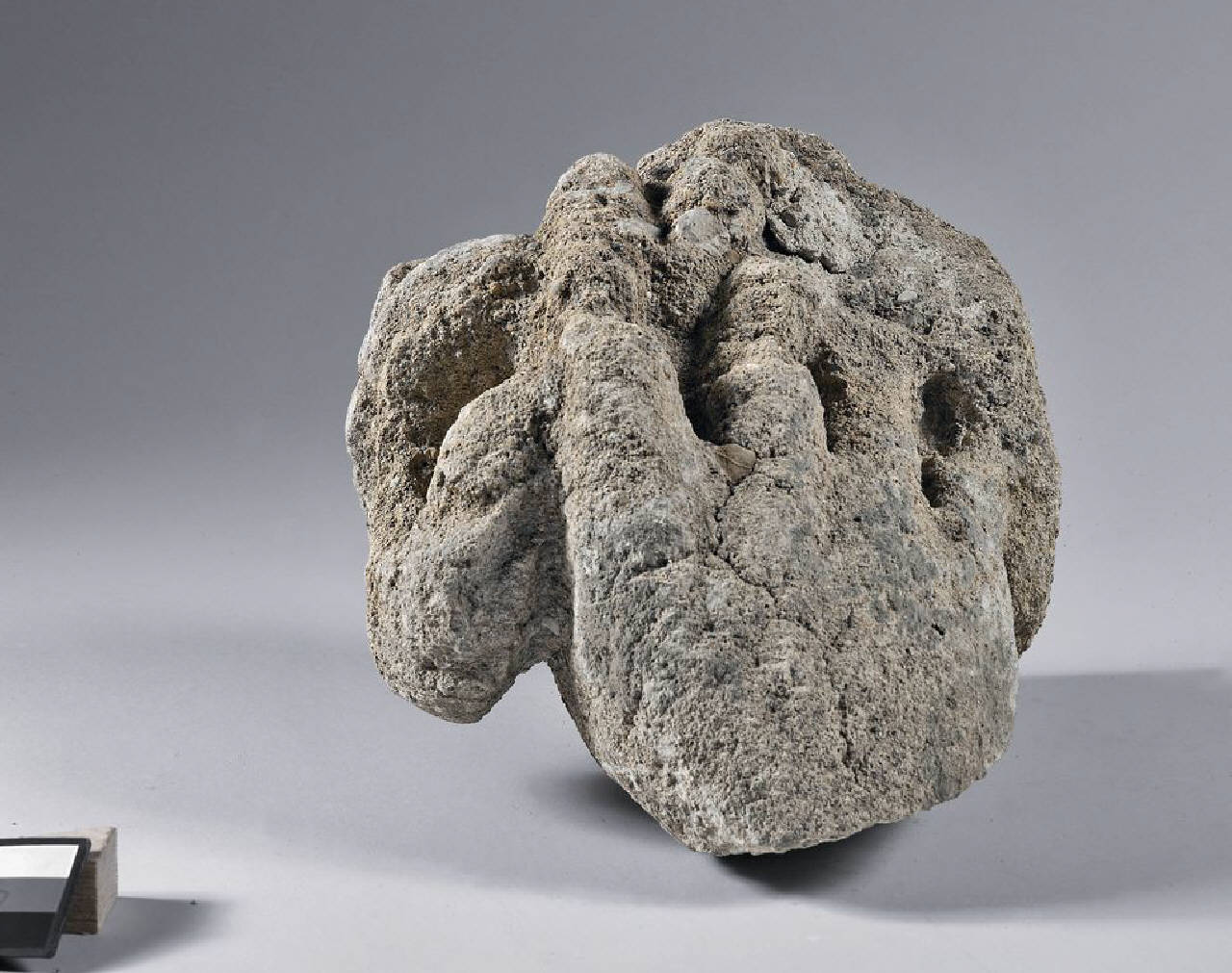 Mano destra (statua, frammento di) di Scultore - ambito lombardo (fine/inizio sec. XVII)