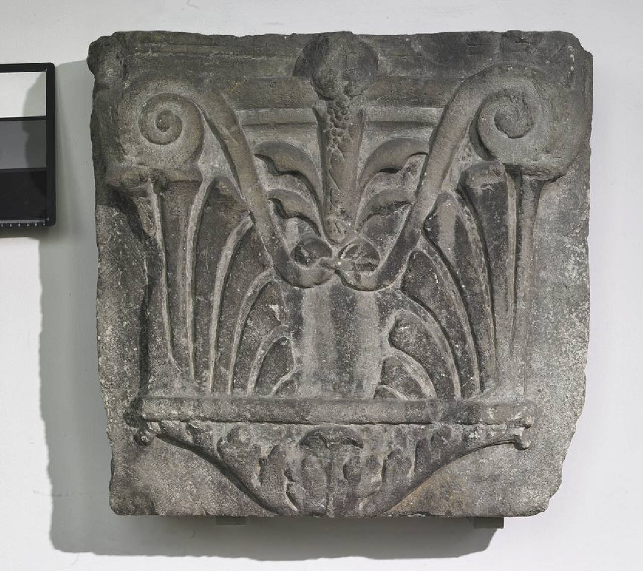 Peduccio di lesena con foglie e al centro fiorescenza sorgente da palmetta (peduccio) di Scultore - ambito lombardo (ultimo quarto sec. XV)