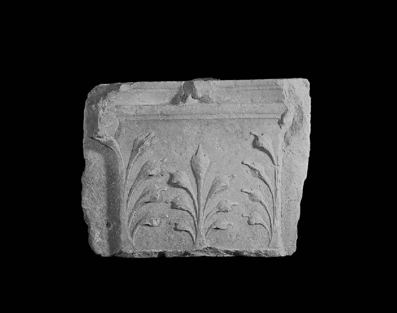 Peduccio di lesena, con foglie peduncolate e palmetta al centro con sette lobi (peduccio) di Scultore - ambito lombardo (fine sec. XV)