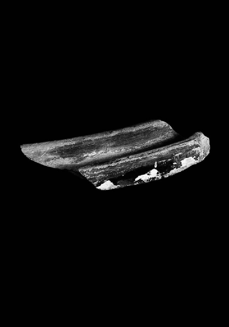 Elemento in marmo di Varenna (elemento non identificato) di Scultore - ambito lombardo (sec. XVII)