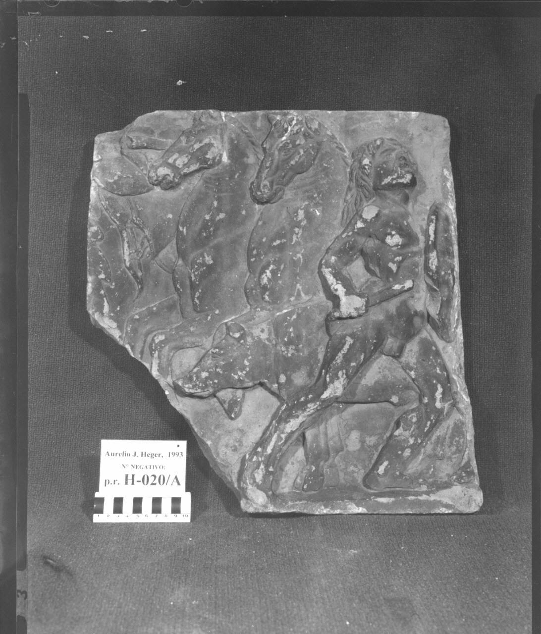 Guerriero con gladio, scudo e due cavalli (formella) di Plasticatore - ambito lombardo (fine/inizio sec. XV)