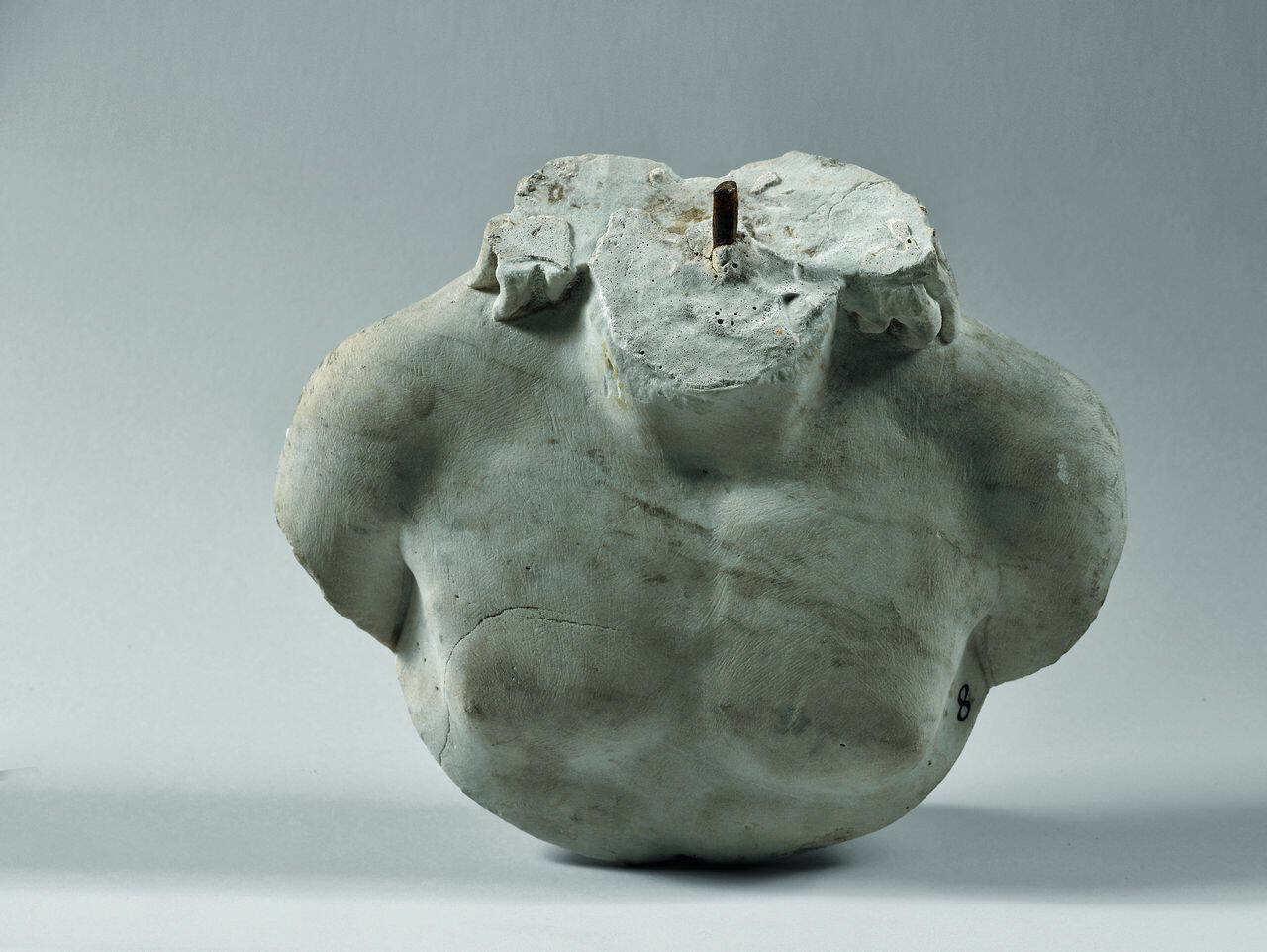 Busto virile acefalo (busto acefalo) di Scultore - ambito italiano (fine/inizio sec. XVIII)