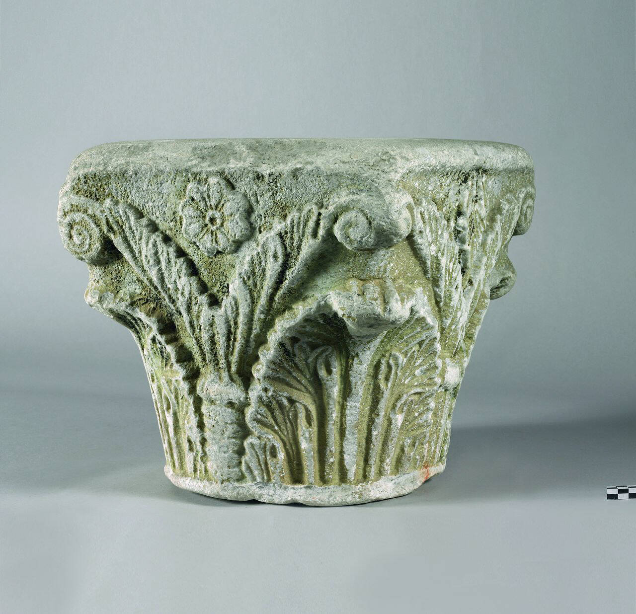 Capitello con albero di palma tra foglie d'acanto (capitello) di Scultore - ambito lombardo (fine/inizio sec. XI)