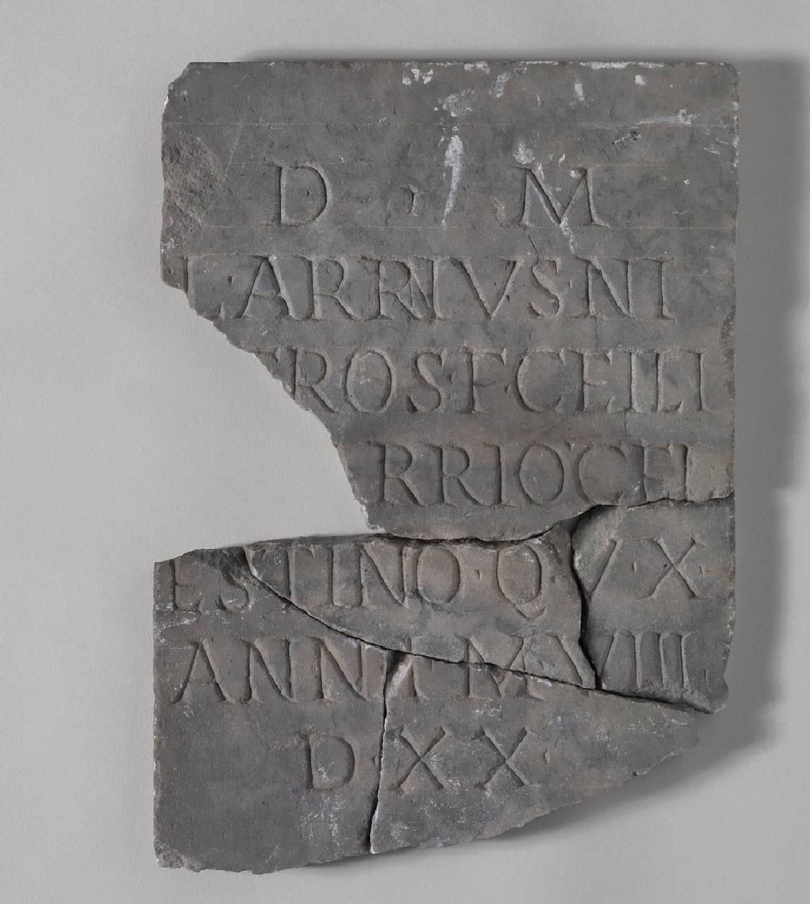 Epigrafe di Larrius (lastra, parti di) di Lapicida - ambito romano (sec. III)