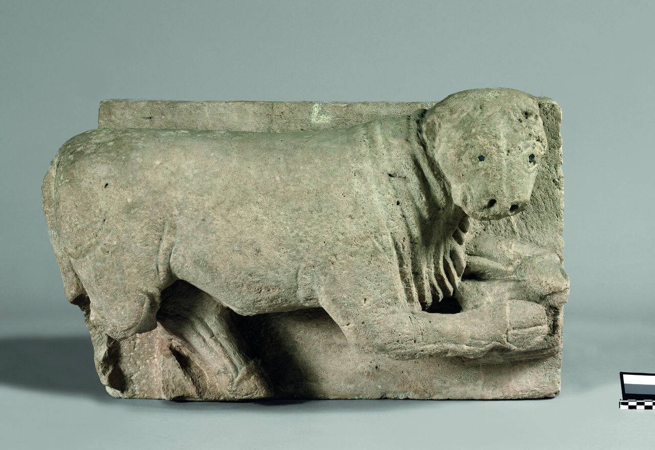 Bue, simbolo dell'evangelista Luca (lastra, concio d'arco, altorilievo) di Scultore - ambito lombardo (sec. XI)