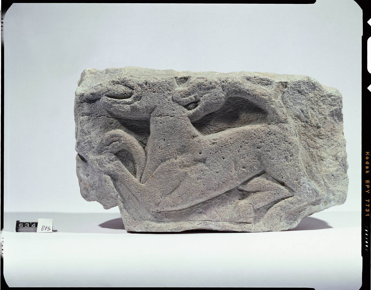 Quadrupede morso da un animale e protome sul fianco sinistro (lastra, rilievo) di Scultore - ambito lombardo (sec. XII)