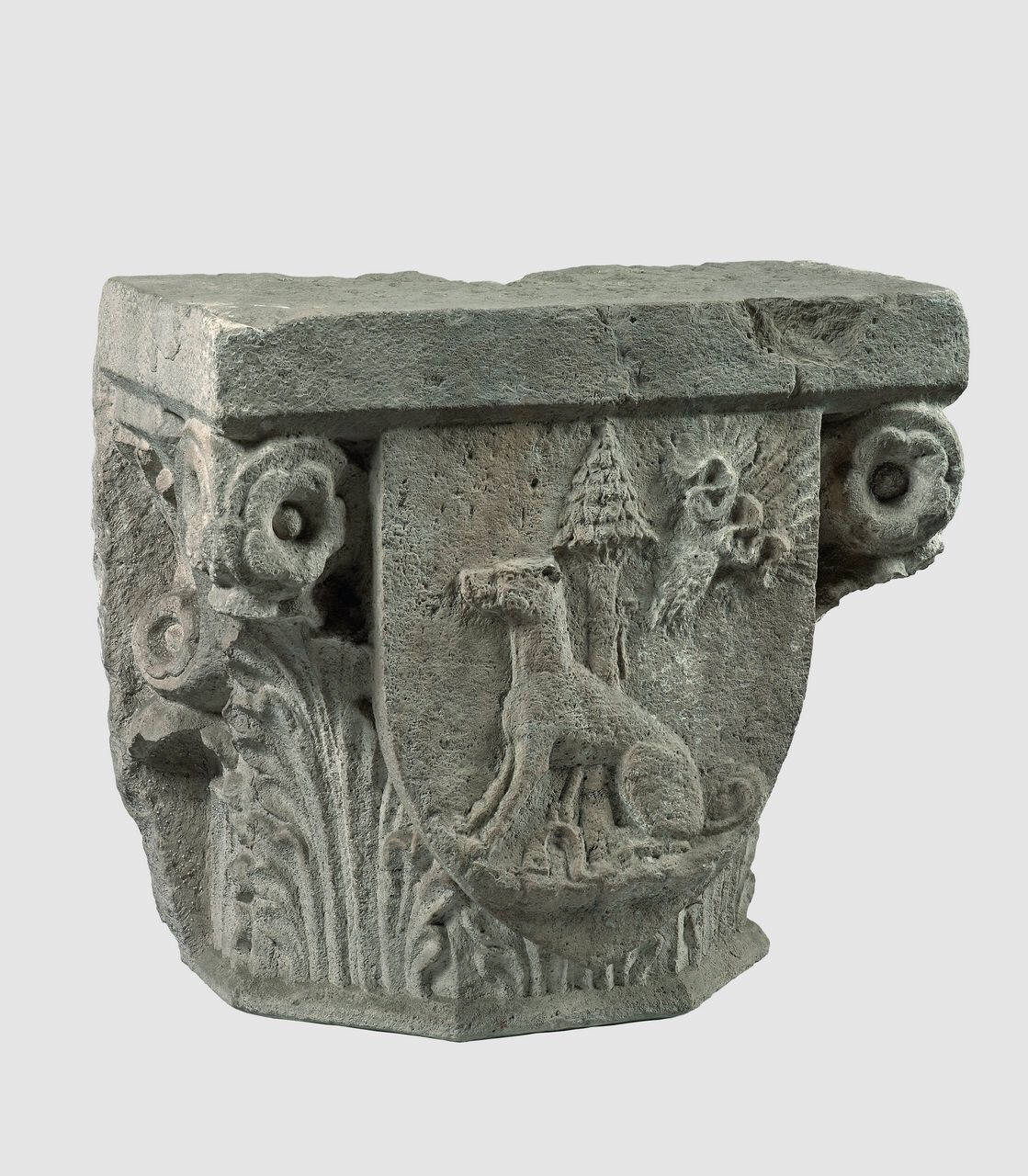 Capitello di semi colonna con scudo: impresa del cane sedente sotto il pino (capitello di semi colonna) di Scultore - ambito lombardo (terzo quarto sec. XV)