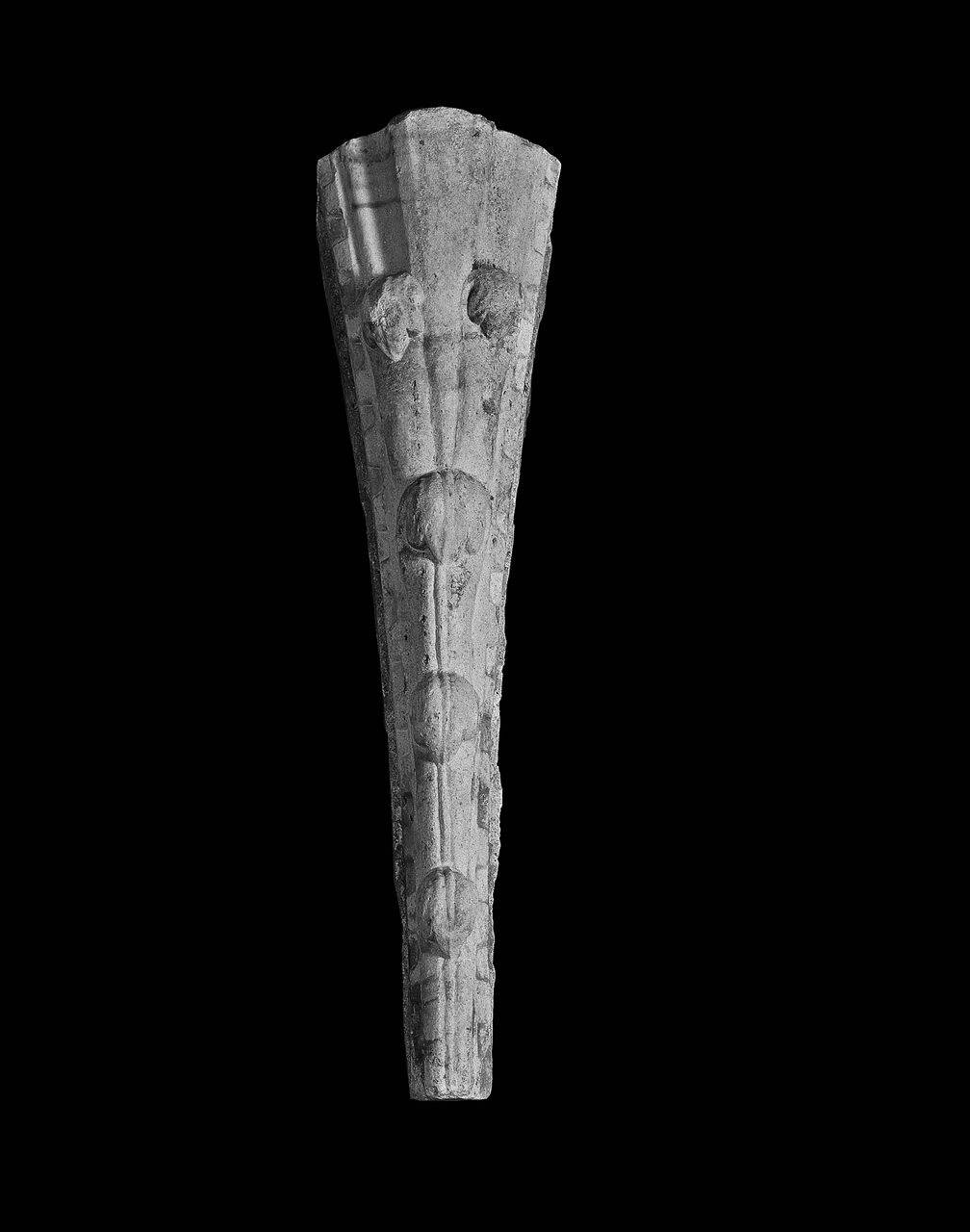 Parte di archivolto da Santa Tecla (archivolto, frammento di) di Scultore - ambito lombardo (fine/ inizio sec. XIII)