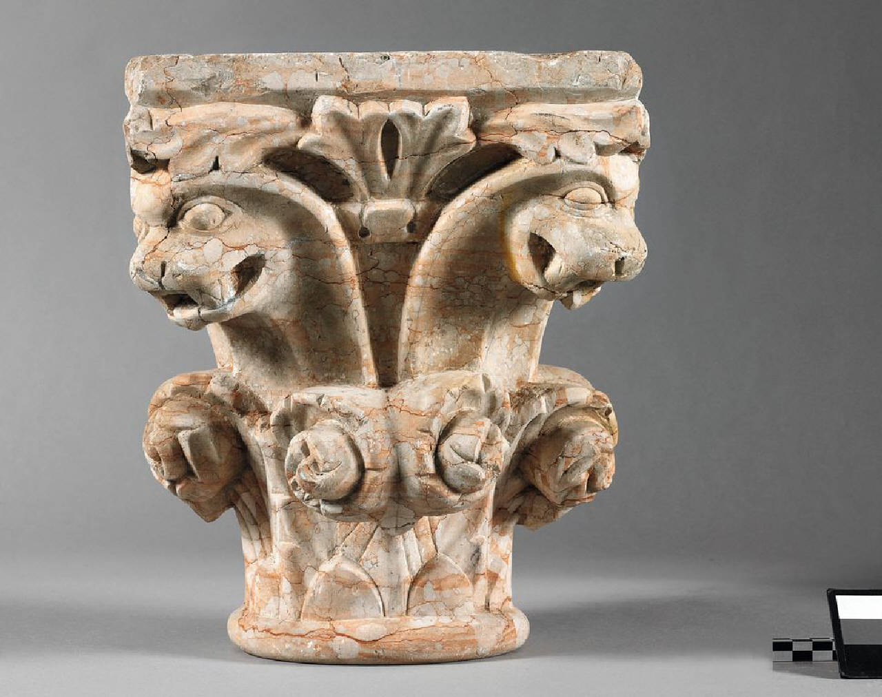 Capitello con due protomi canine, in marmo di Verona (capitello) di Scultore - ambito lombardo (secondo quarto sec. XIII)