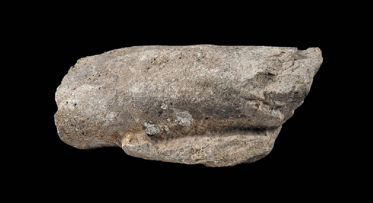 Coscia destra (statua, frammento di) di Scultore - ambito lombardo (sec. XVII)