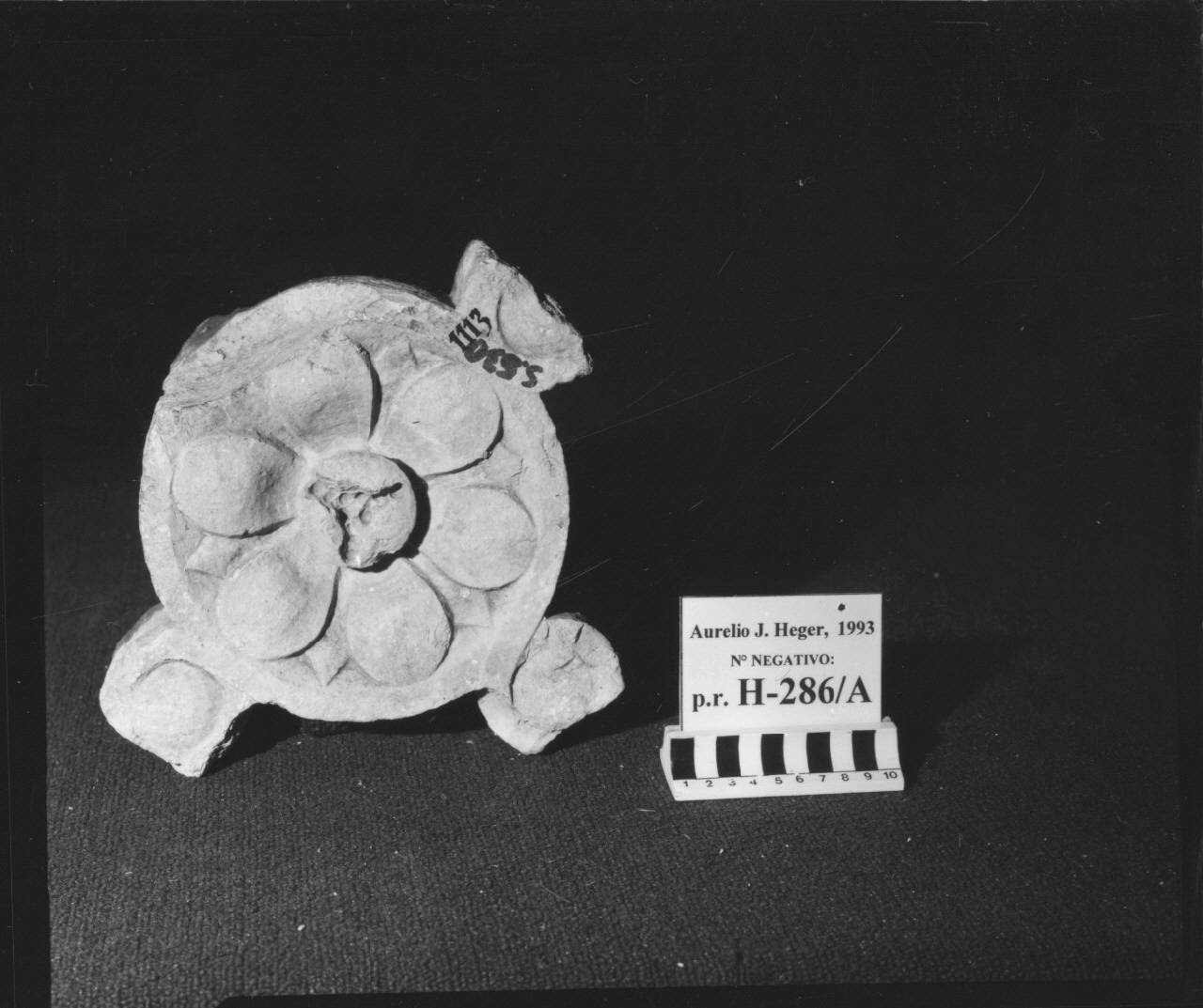Balaustra a traforo: elemento con fiore e tre peduncoli (balaustra, frammento di) di Scultore - ambito veneto (fine sec. XV)