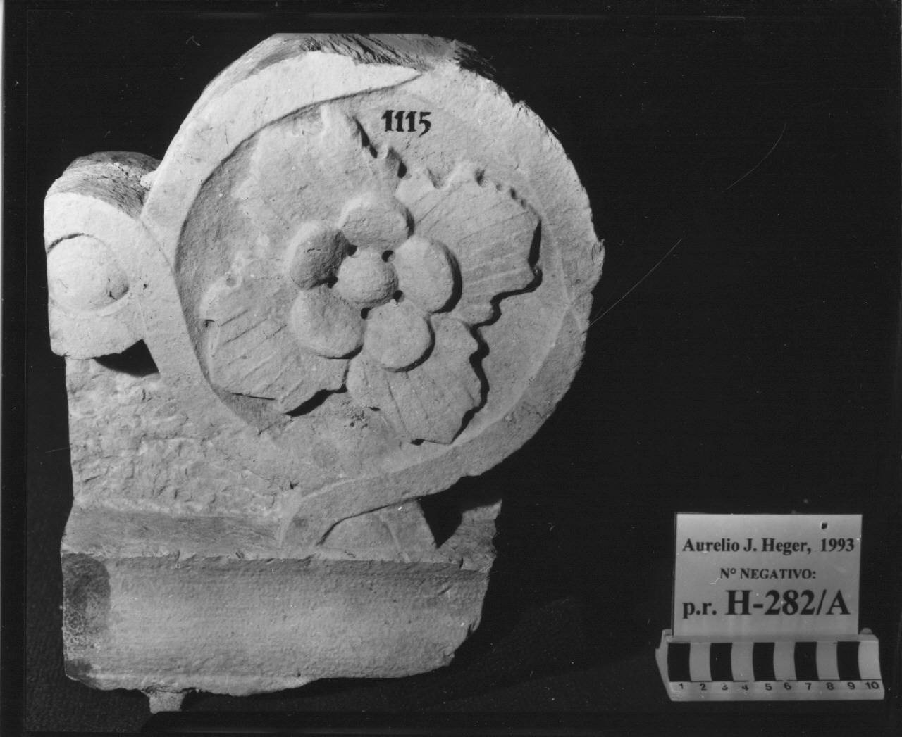 Balaustra a traforo: elemento con doppio fiore (balaustra, frammento di) di Scultore - ambito veneto (fine sec. XV)