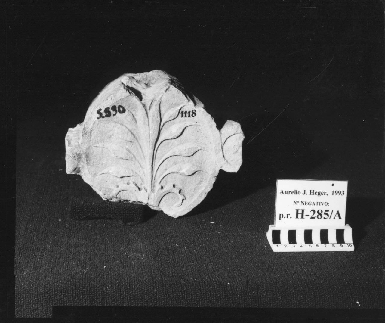 Balaustra a traforo: elemento con stelo a più foglie (balaustra, frammento di) di Scultore - ambito veneto (fine sec. XV)