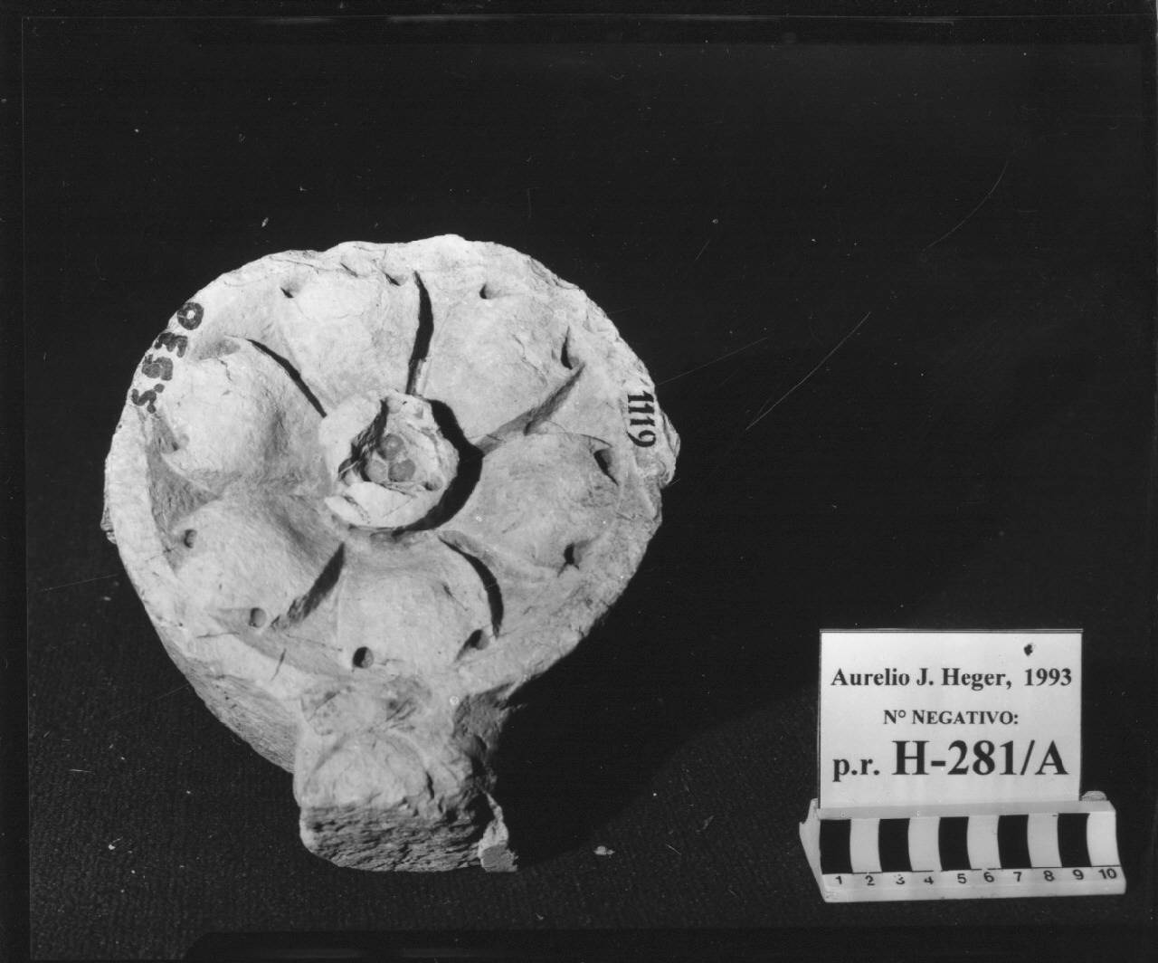Balaustra a traforo: elemento con fiore e un peduncolo (balaustra, frammento di) di Scultore - ambito veneto (fine sec. XV)