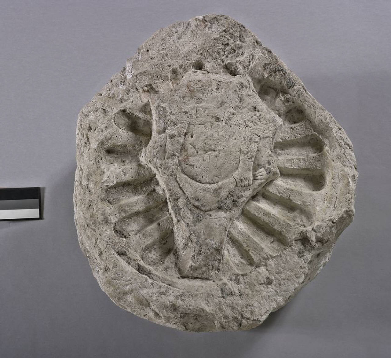 Chiave di volta con l'impresa del "buratto" (chiave di volta) di Scultore - ambito lombardo (secondo quarto sec. XV)