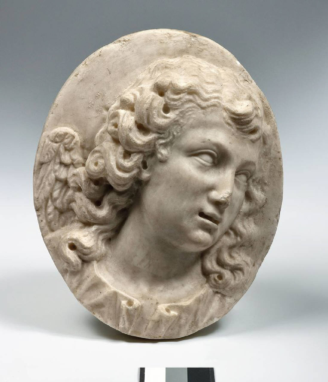 Testa di angelo (lastra ovale, altorilievo) di Scultore - ambito italiano (seconda metà sec. XVI)