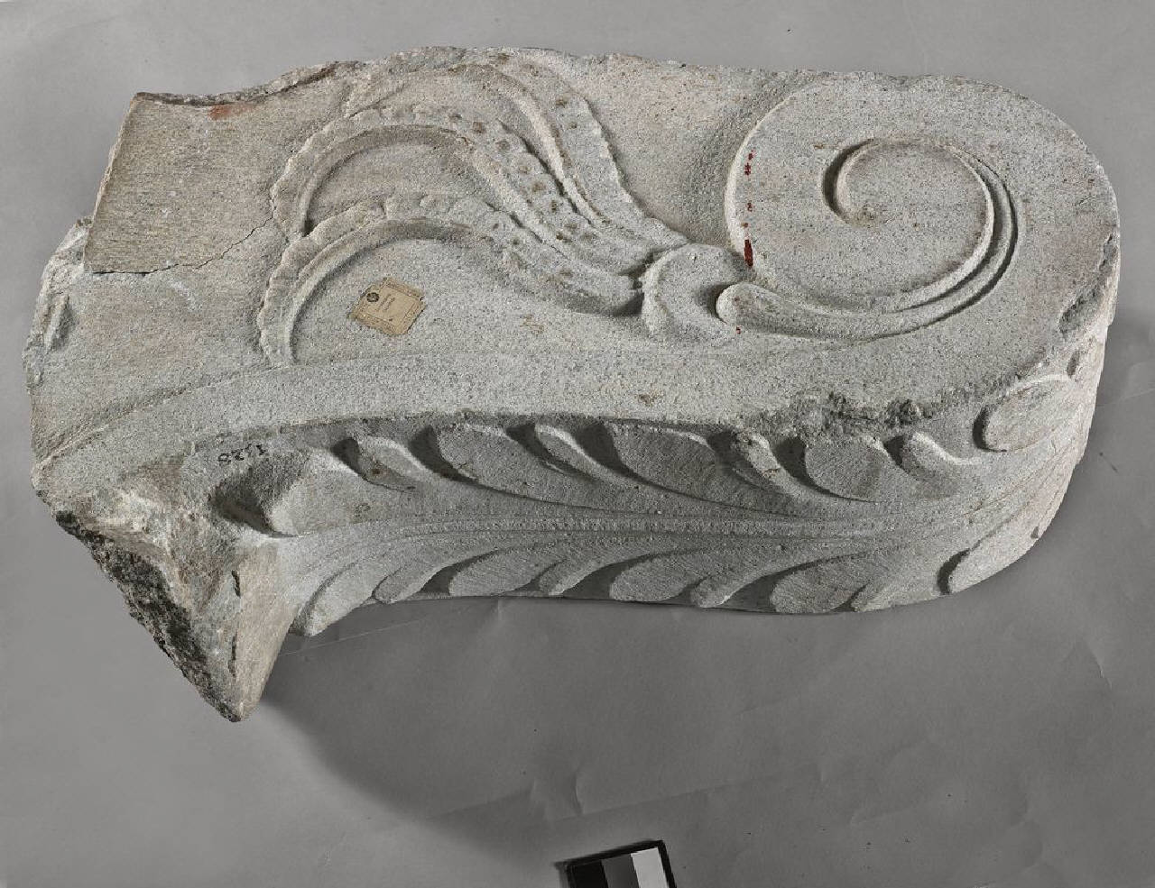 Mensola con lungo tralcio recante foglie bilobate simmetriche (mensola) di Scultore - ambito lombardo (ultimo quarto sec. XV)