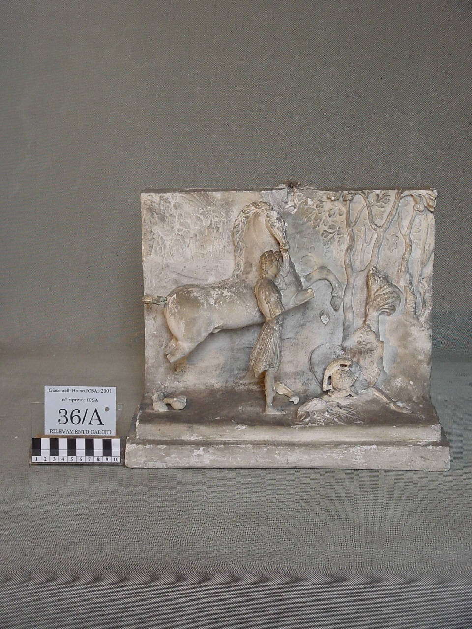 Calco del rilievo con giovane che doma un cavallo; Alessandro e Bucefalo? (lastra, altorilievo) di Pierotti, Pietro (terzo quarto sec. XIX)