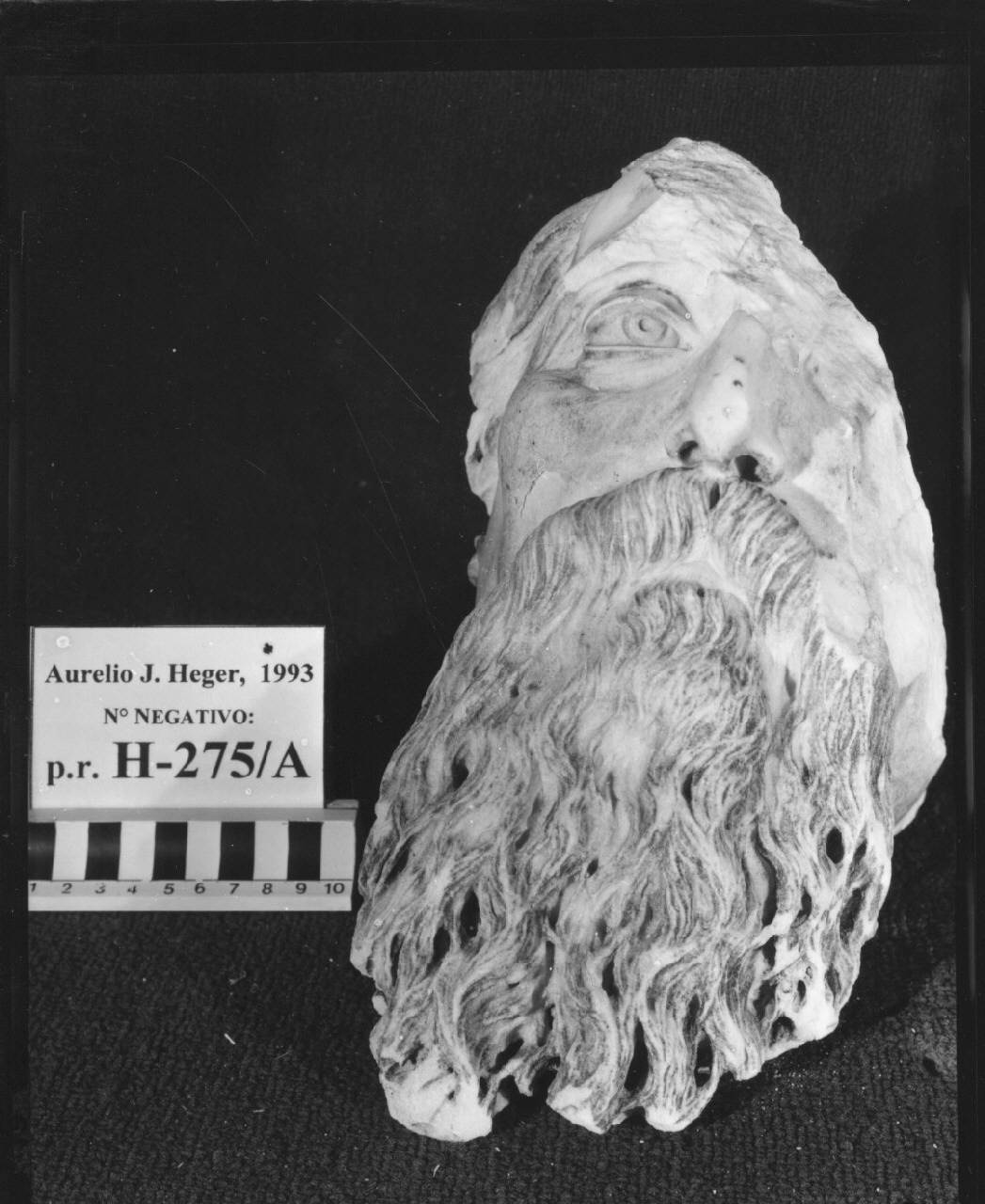 Testa virile frammentaria con barba fluente (testa) di Scultore - ambito lombardo (terzo quarto sec. XIX)