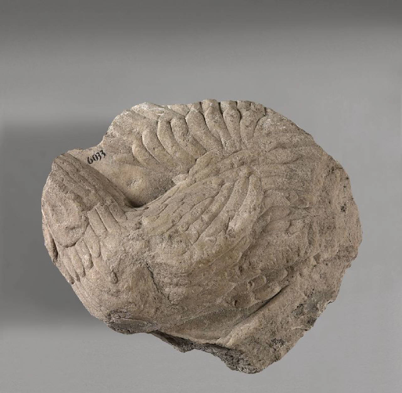 Gallo acefalo, reimpiegato (statua?, altorilievo) di Scultore - ambito lombardo (prima metà sec. XV)