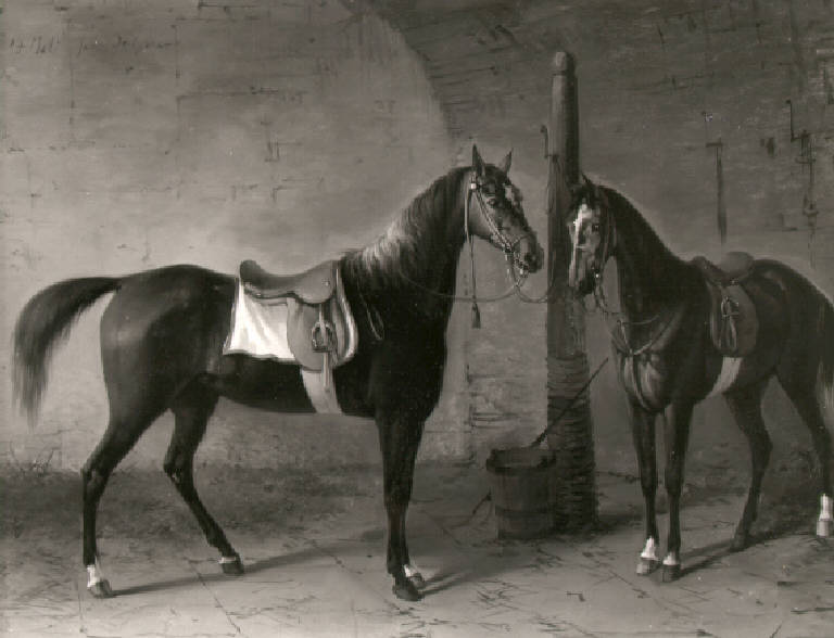 Cavalli (dipinto) di Joli Faustino (sec. XIX)