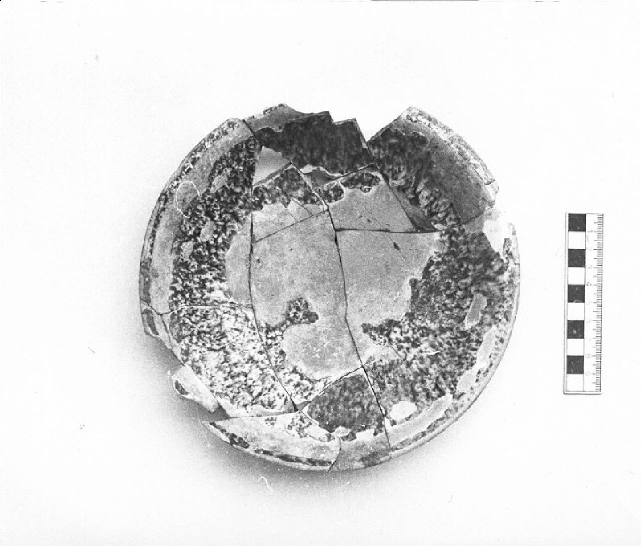 scodella - manifattura pavese (sec. XVI)